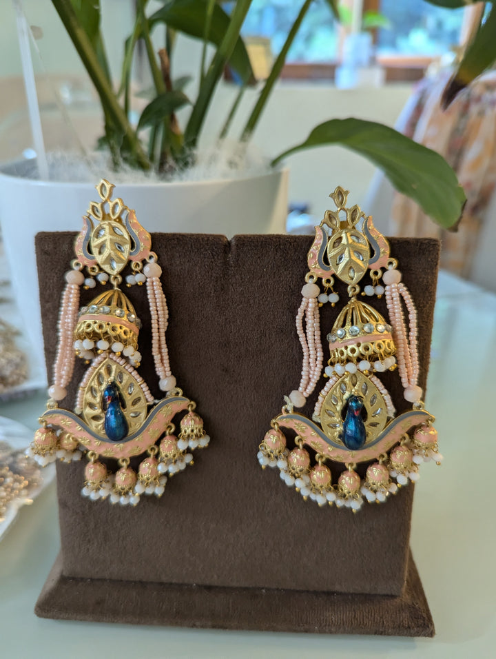 Hanging earrings tikka jewellery set